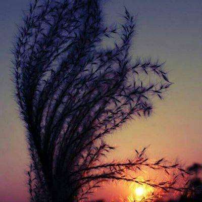 华夏基金一季度新发基金“哑火”：仅5只新基，31亿规模，发行规模排名滑落至27位